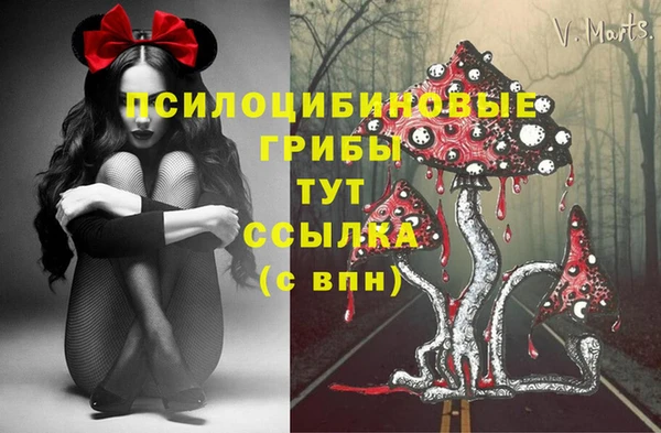 не бодяженный Магадан