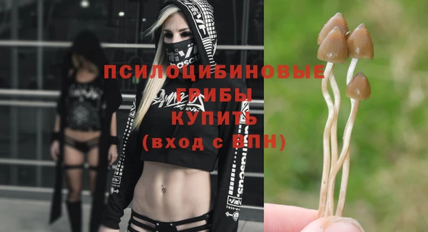 не бодяженный Магадан